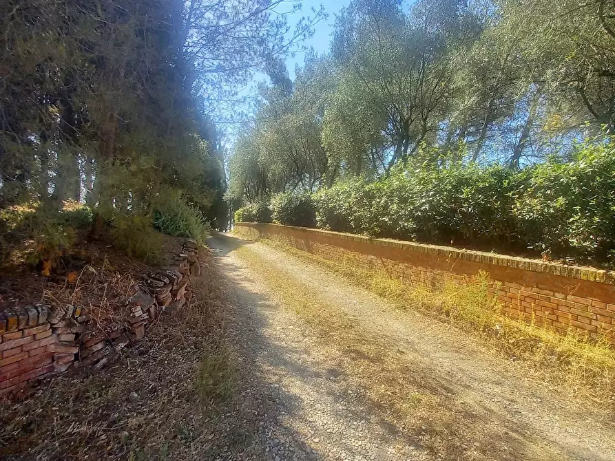 Immagine 21 di Casa colonica in vendita  a Montaione