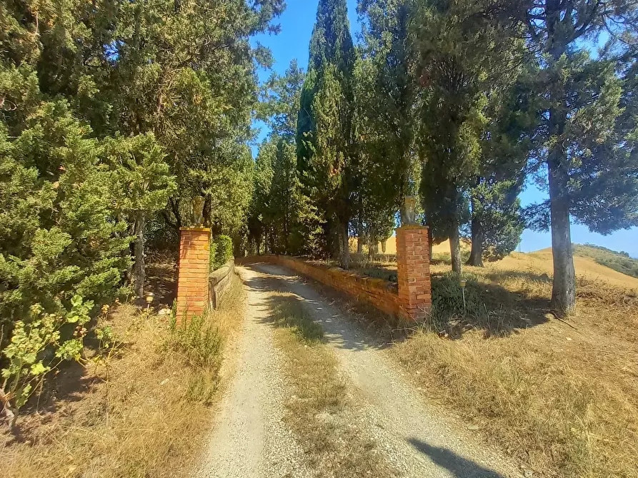 Immagine 34 di Casa colonica in vendita  a Montaione