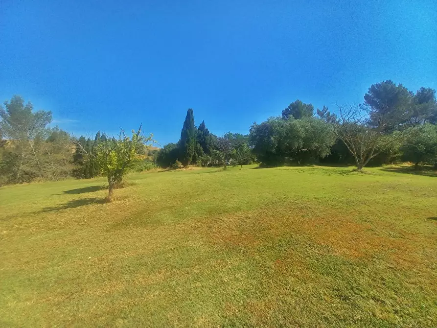 Immagine 28 di Casa colonica in vendita  a Montaione