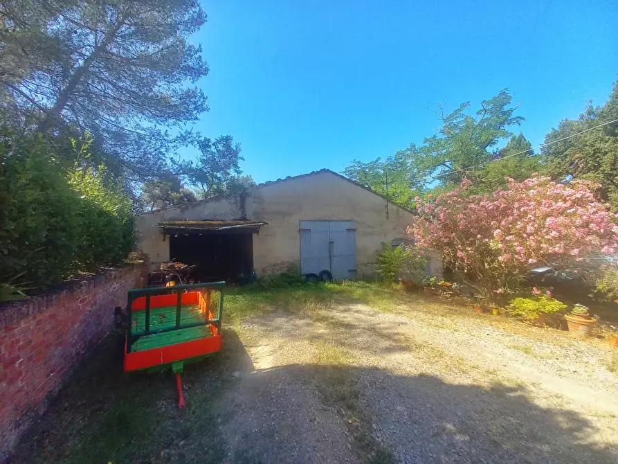 Immagine 24 di Casa colonica in vendita  a Montaione
