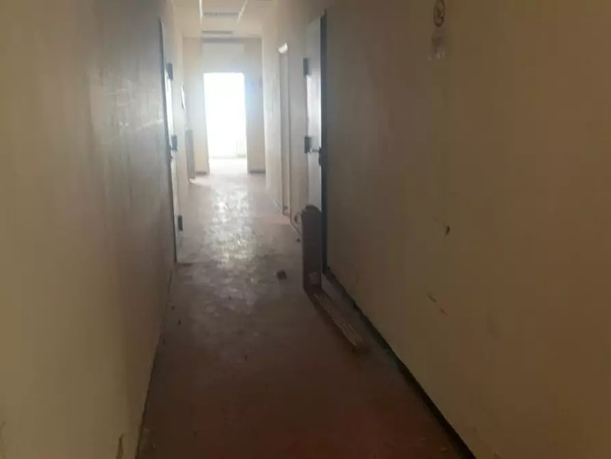 Immagine 9 di Locale commerciale in vendita  a Livorno