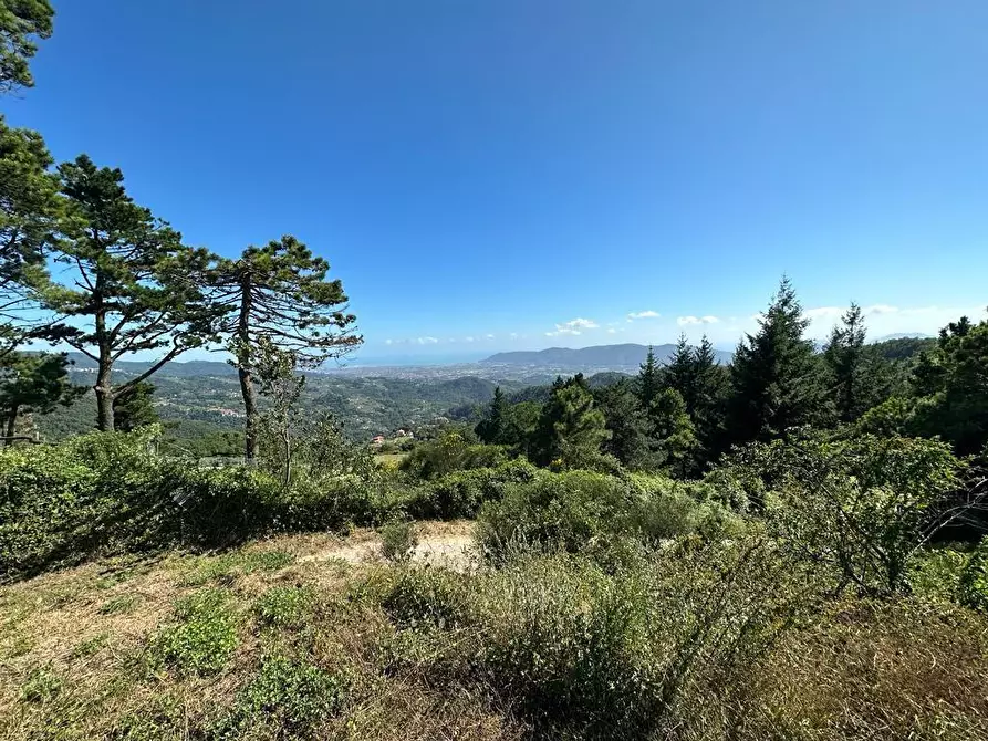 Immagine 27 di Villa in vendita  a Fosdinovo