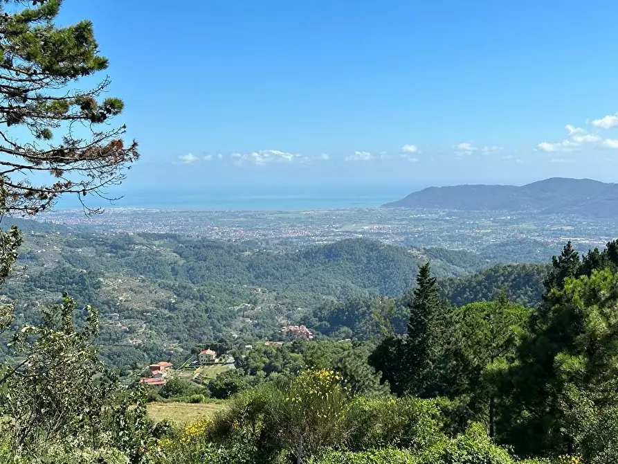 Immagine 28 di Villa in vendita  a Fosdinovo