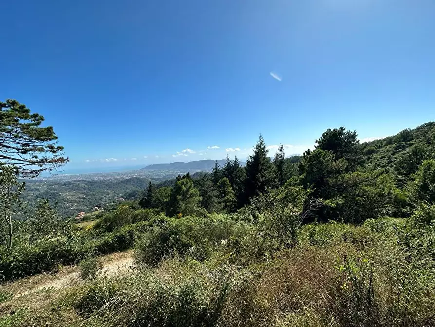 Immagine 26 di Villa in vendita  a Fosdinovo