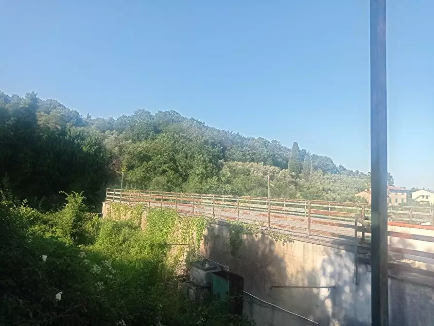 Immagine 3 di Appartamento in vendita  a Vicopisano