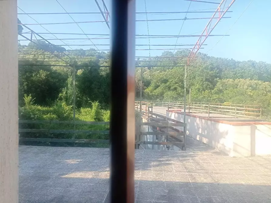 Immagine 2 di Appartamento in vendita  a Vicopisano