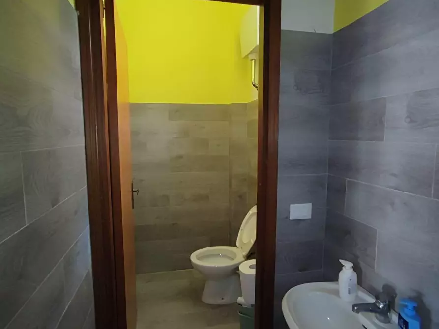 Immagine 5 di Locale commerciale in vendita  a Palaia