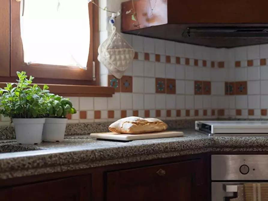 Immagine 8 di Villa in vendita  a Rosignano Marittimo