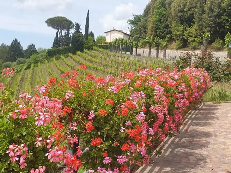 Immagine 13 di Albergo/B&B/Residence in vendita  a Casciana Terme Lari