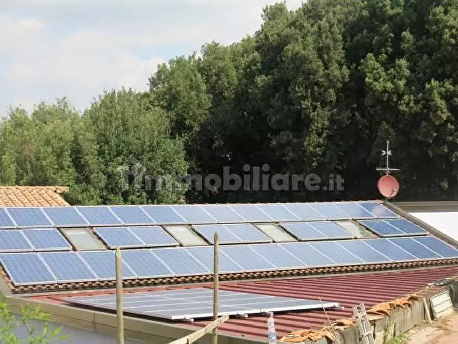 Immagine 3 di Attività artigianale in vendita  a Casciana Terme Lari