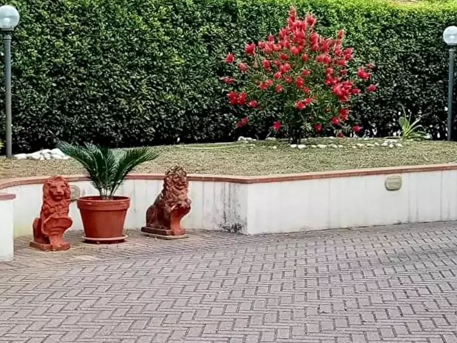 Immagine 3 di Villa in vendita  a Massarosa