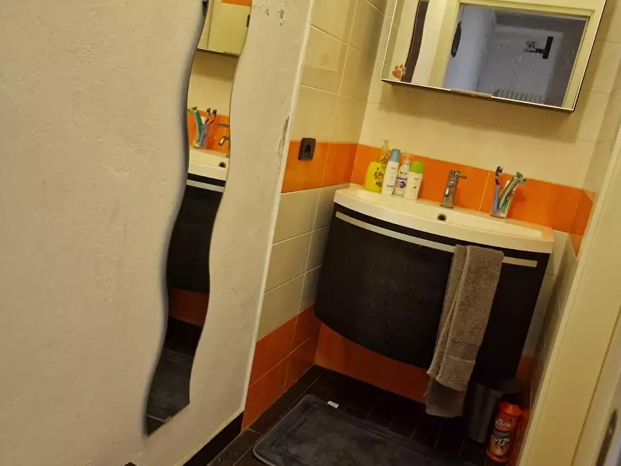 Immagine 9 di Appartamento in vendita  a Campiglia Marittima