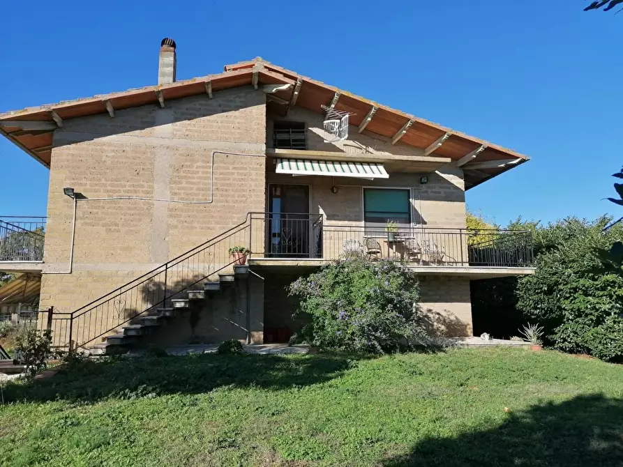 Immagine 3 di Casa colonica in vendita  a Manciano