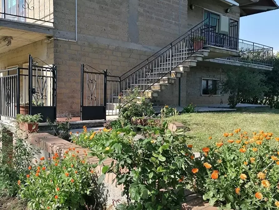 Immagine 29 di Casa colonica in vendita  a Manciano