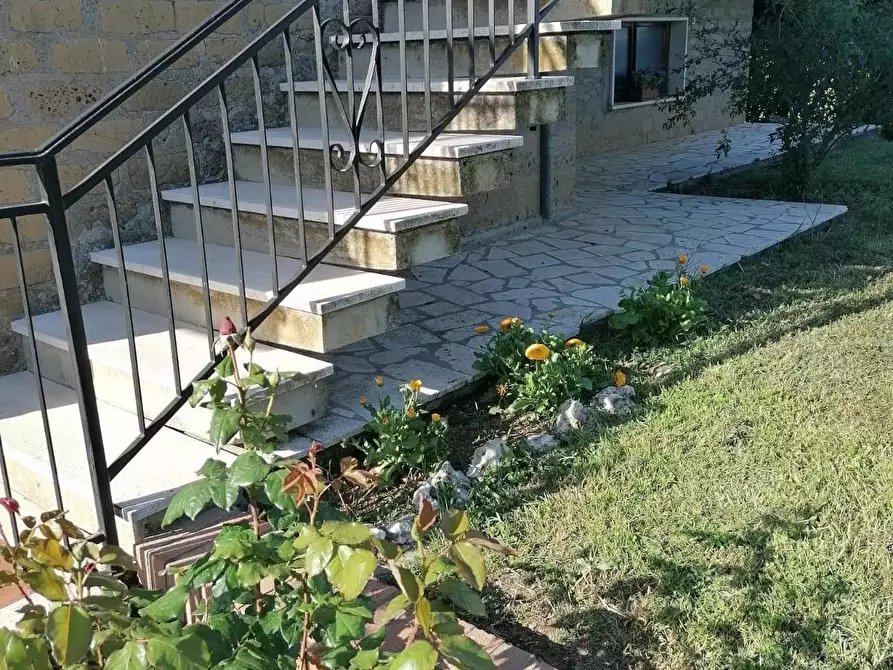 Immagine 25 di Casa colonica in vendita  a Manciano