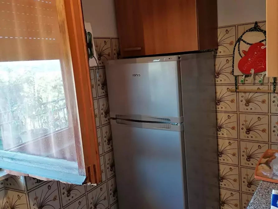 Immagine 15 di Casa colonica in vendita  a Manciano