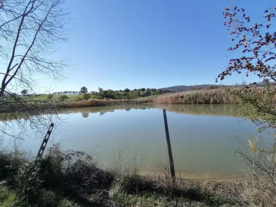 Immagine 24 di Casa colonica in vendita  a Manciano