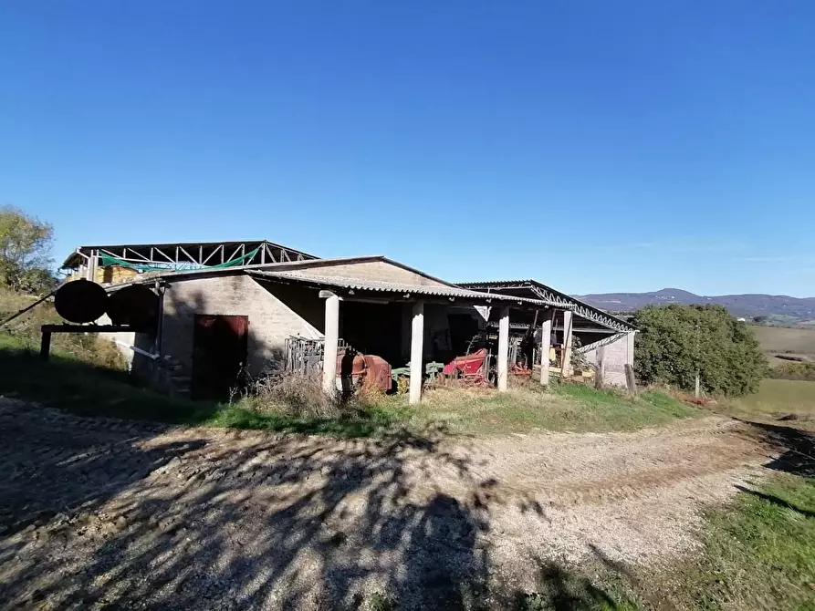 Immagine 22 di Casa colonica in vendita  a Manciano