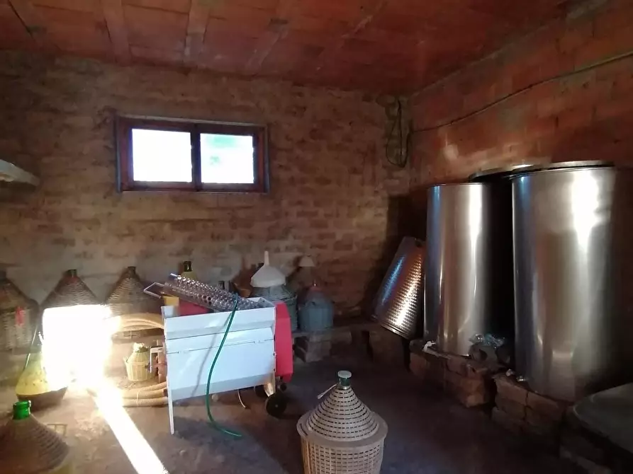 Immagine 7 di Casa colonica in vendita  a Manciano