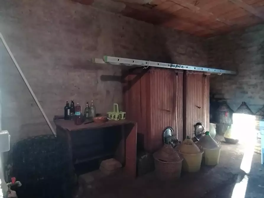 Immagine 8 di Casa colonica in vendita  a Manciano