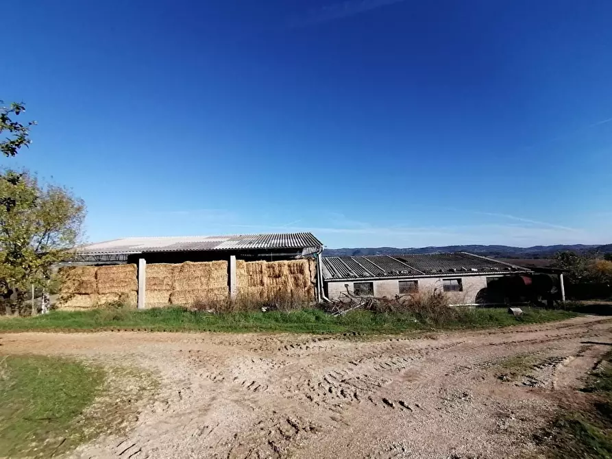 Immagine 20 di Casa colonica in vendita  a Manciano