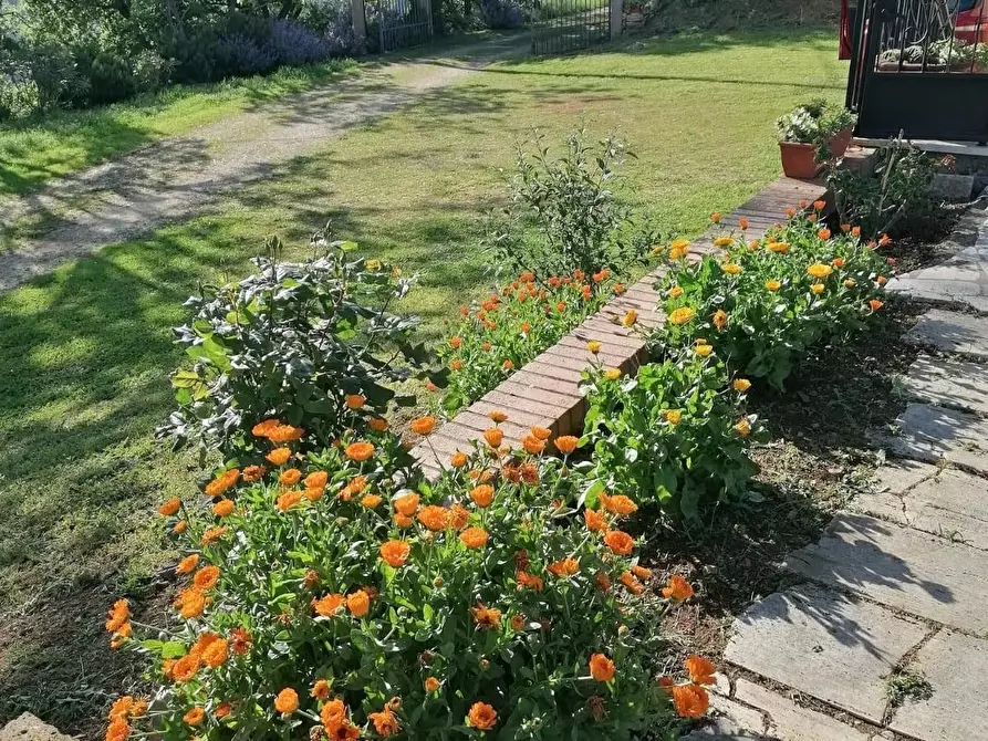 Immagine 6 di Casa colonica in vendita  a Manciano