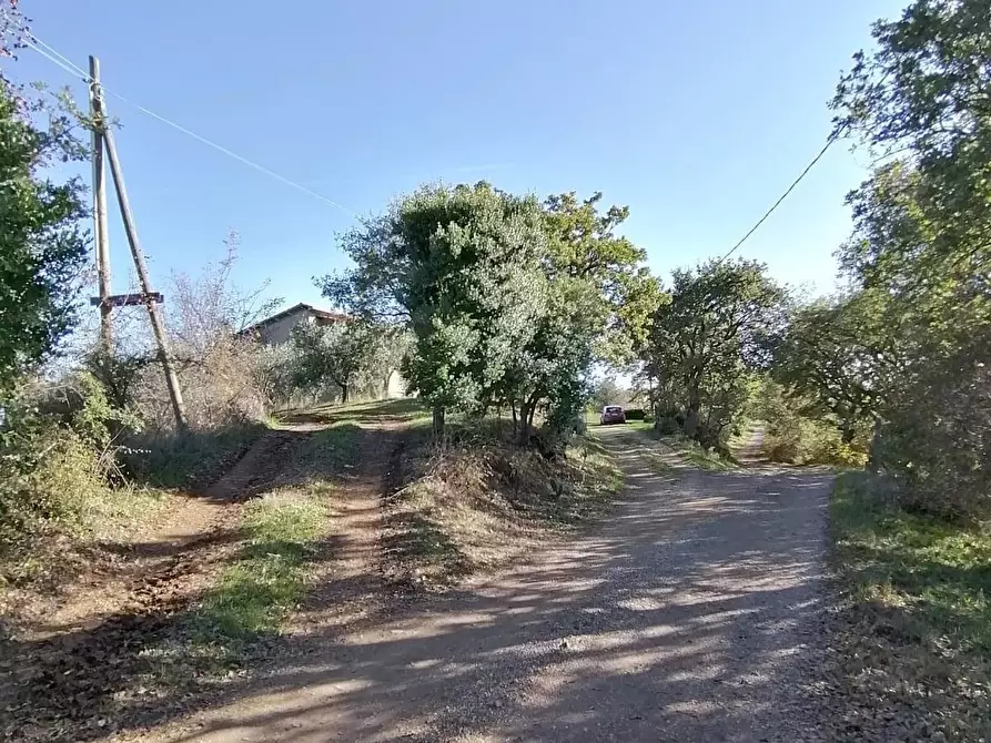 Immagine 27 di Casa colonica in vendita  a Manciano