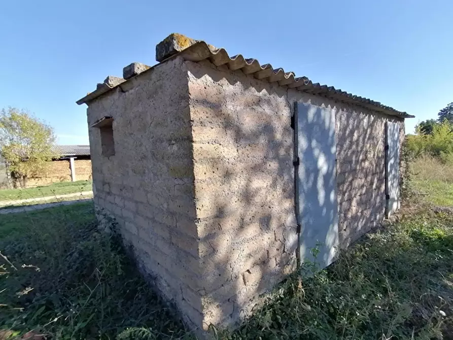 Immagine 19 di Casa colonica in vendita  a Manciano