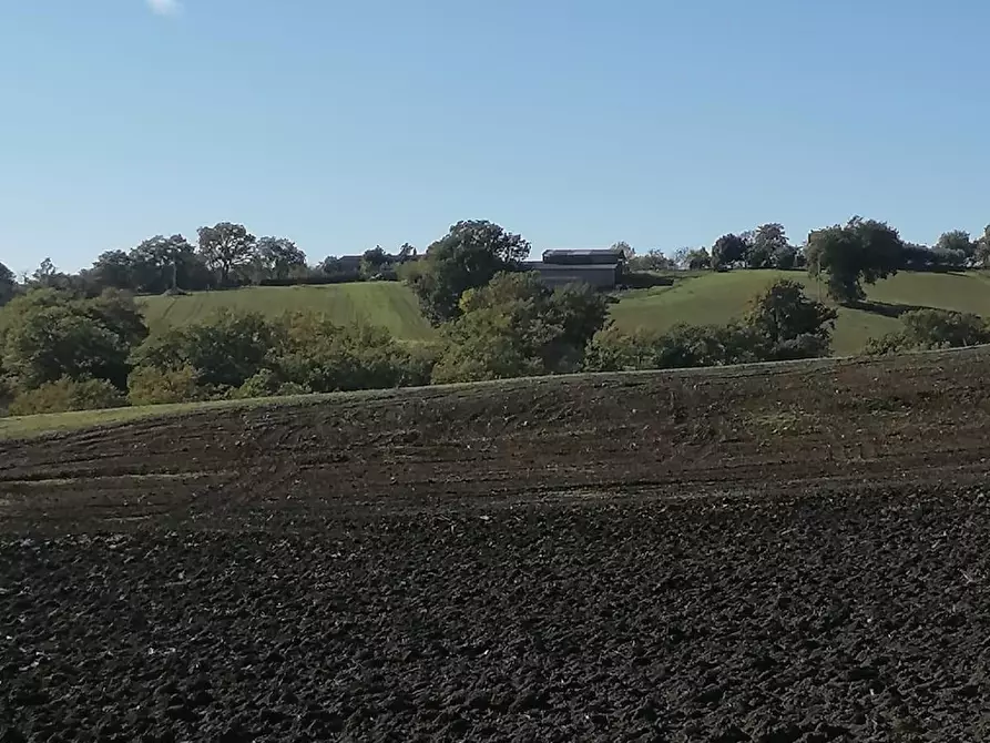 Immagine 5 di Casa colonica in vendita  a Manciano