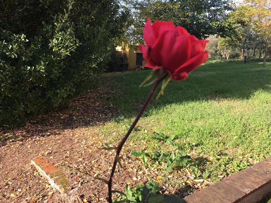 Immagine 27 di Porzione di casa in vendita  a Santa Maria A Monte