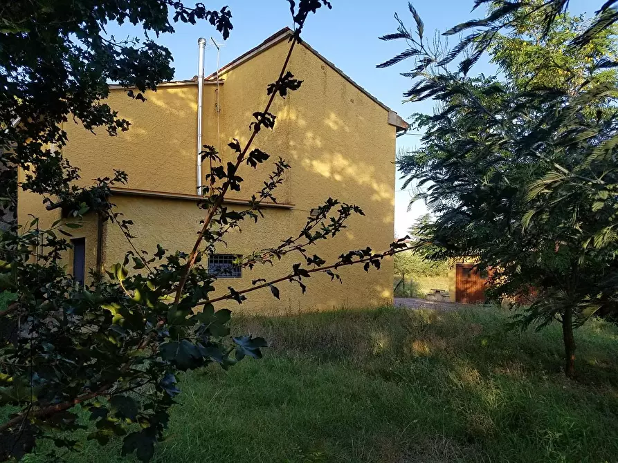 Immagine 6 di Porzione di casa in vendita  a Santa Maria A Monte