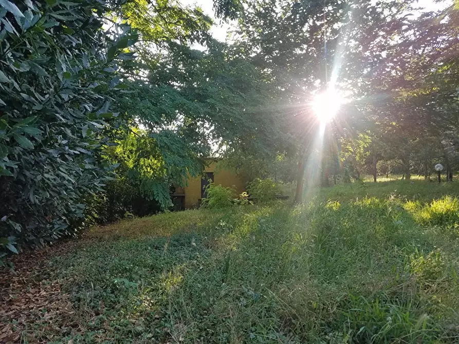 Immagine 5 di Porzione di casa in vendita  a Santa Maria A Monte