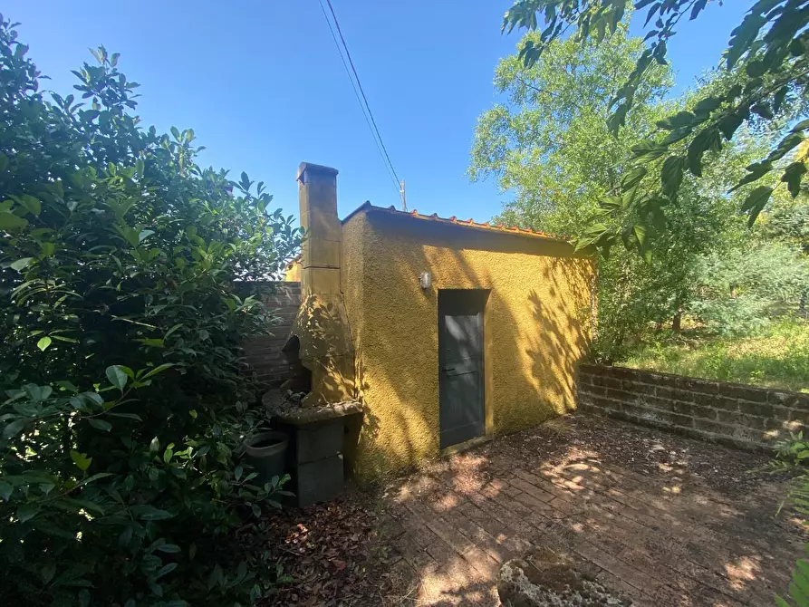 Immagine 17 di Porzione di casa in vendita  a Santa Maria A Monte