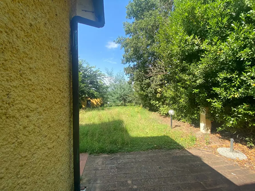 Immagine 14 di Porzione di casa in vendita  a Santa Maria A Monte
