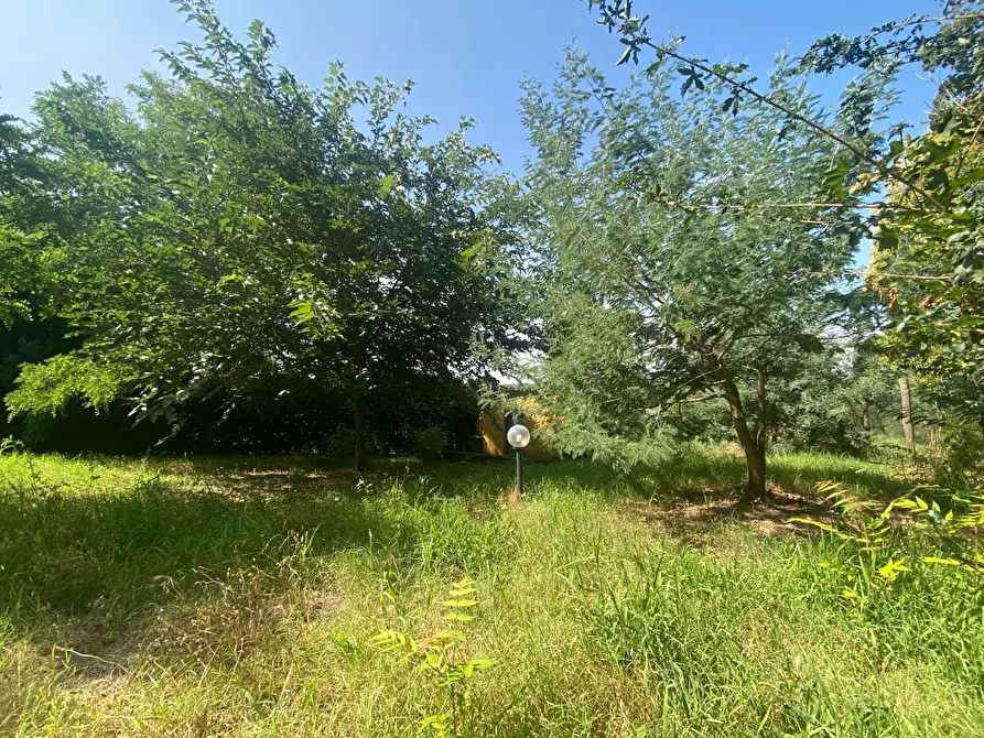 Immagine 13 di Porzione di casa in vendita  a Santa Maria A Monte