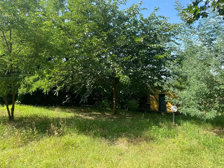 Immagine 12 di Porzione di casa in vendita  a Santa Maria A Monte