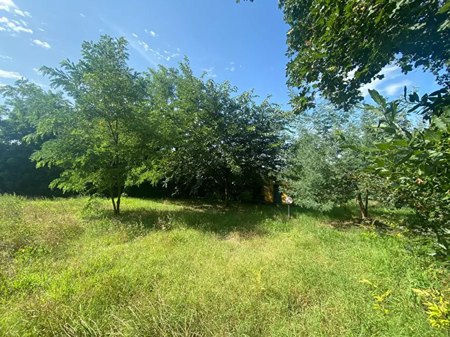 Immagine 11 di Porzione di casa in vendita  a Santa Maria A Monte