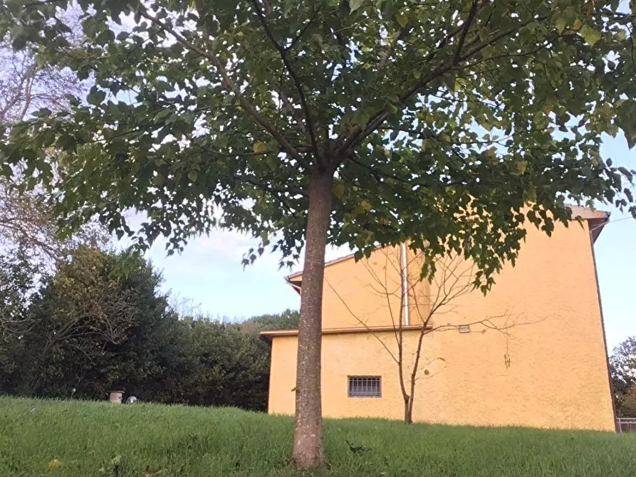 Immagine 29 di Porzione di casa in vendita  a Santa Maria A Monte