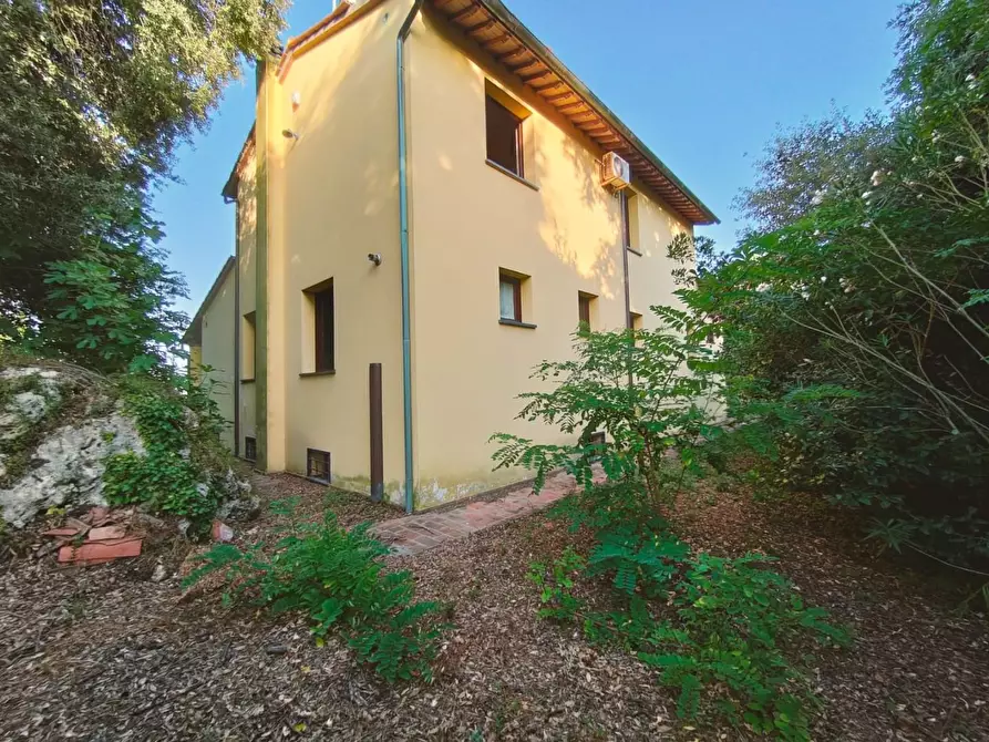 Immagine 9 di Casa indipendente in vendita  a Casciana Terme Lari