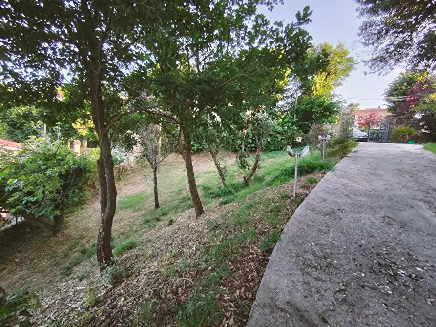 Immagine 5 di Casa indipendente in vendita  a Casciana Terme Lari