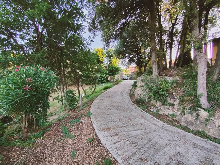 Immagine 7 di Casa indipendente in vendita  a Casciana Terme Lari