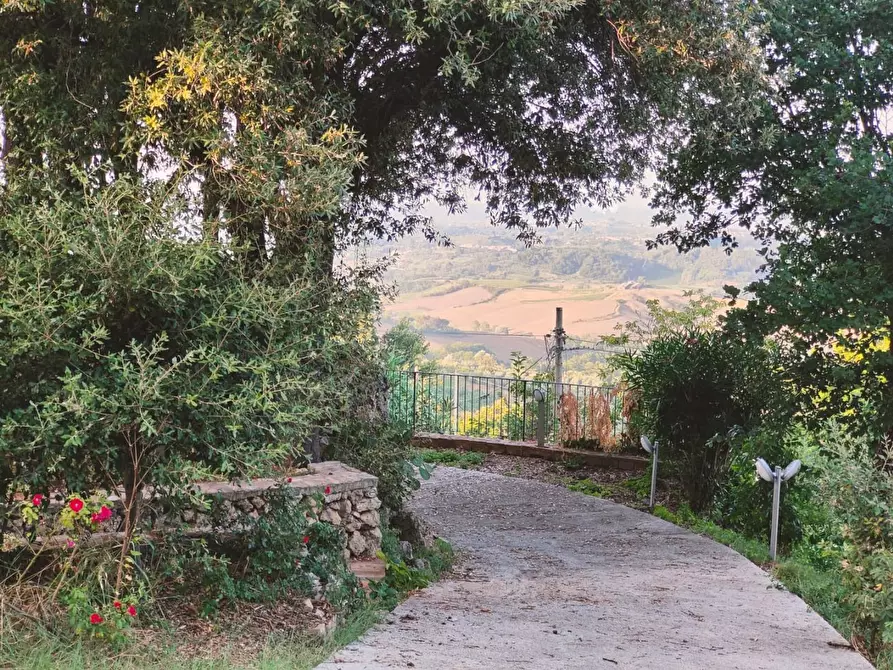 Immagine 2 di Casa indipendente in vendita  a Casciana Terme Lari