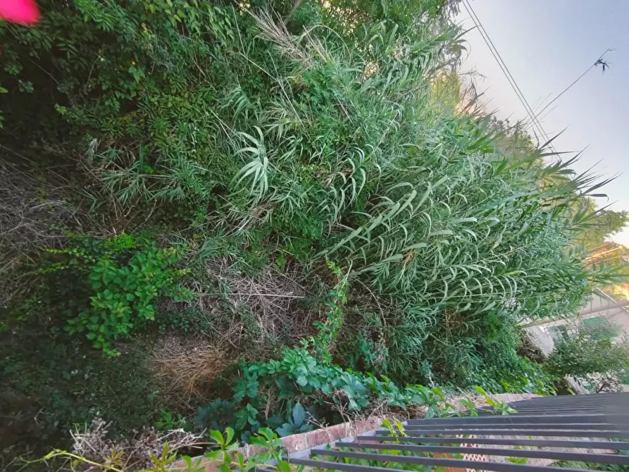 Immagine 10 di Casa indipendente in vendita  a Casciana Terme Lari