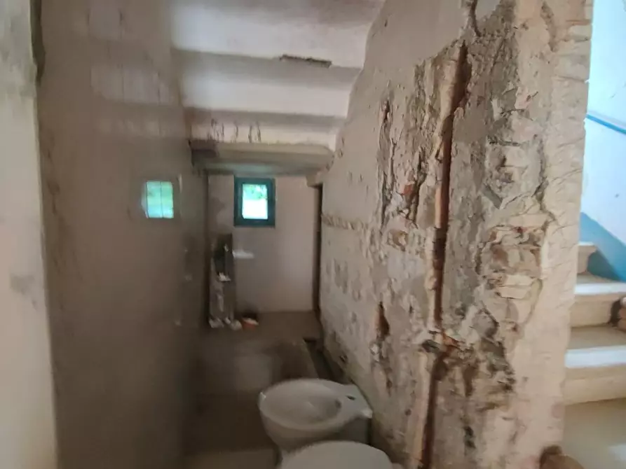 Immagine 9 di Appartamento in vendita  a Crespina Lorenzana