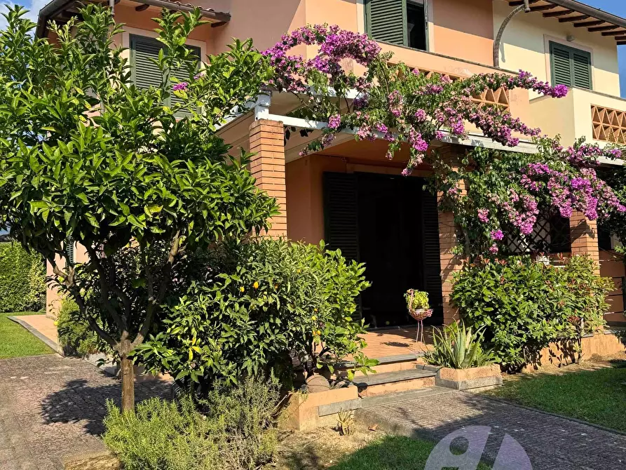 Immagine 1 di Casa bifamiliare in vendita  a Pietrasanta