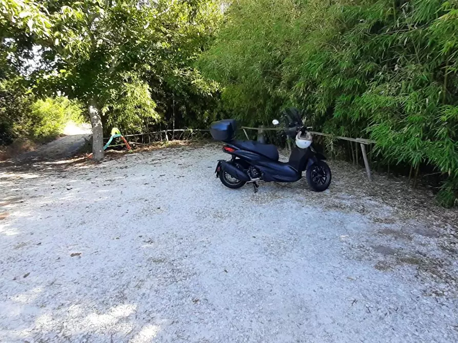 Immagine 9 di Appartamento in vendita  a Rosignano Marittimo