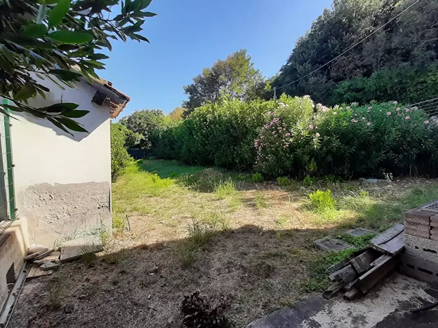 Immagine 5 di Appartamento in vendita  a Rosignano Marittimo