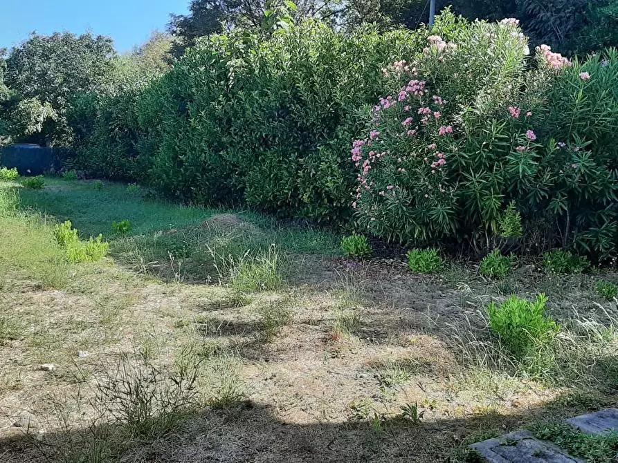 Immagine 7 di Appartamento in vendita  a Rosignano Marittimo