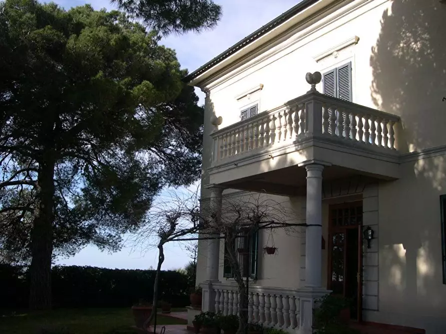 Immagine 23 di Terreno agricolo in vendita  a Casale Marittimo