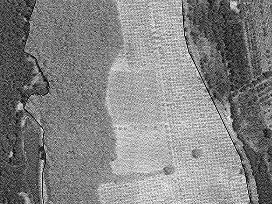 Immagine 53 di Terreno agricolo in vendita  a Casale Marittimo